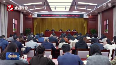 市委第五巡察组向市委统战部、市民宗委党组反馈巡察情况