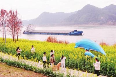 满城“芳菲”入画来