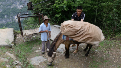 从“索道运茶”到“云端卖茶”的变迁  