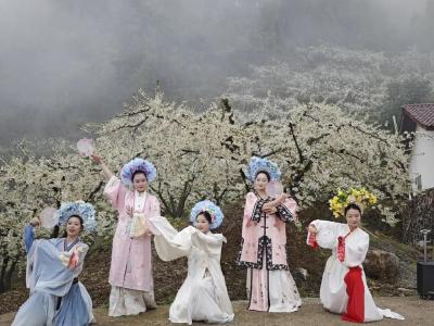 春分日的高潮村：一朵花，两次“绽放”