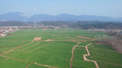 我市召开春季农业生产工作新闻通气会  春播面积稳中有增 “菜篮子”量足价稳