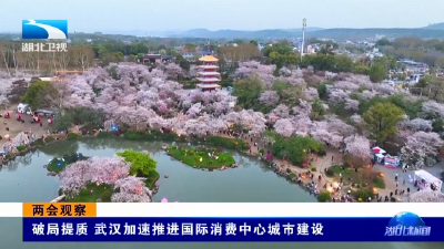 两会观察 | 破局提质 武汉加速推进国际消费中心城市建设  