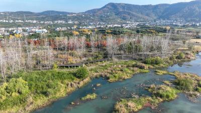 华中首个绿色铸造中心在宜运营