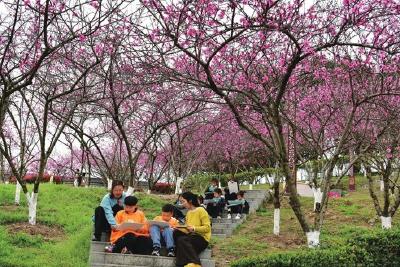 亲近自然 拥抱春天