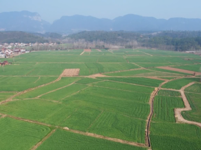 夷陵开通春耕农资“绿色通道”  供销社把服务送到田间地头