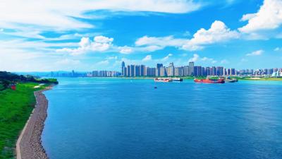 我市首个数据开发OPC社区启动招募