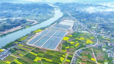 清江鲟鱼谷二期加速投产 442个“新家”迎鱼入池