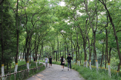 我市发布绿地碳汇计量监测标准 符合条件的绿地可申报碳票项目