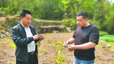 “一叶轻舟”万重山  