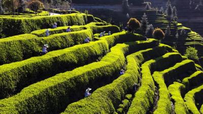 老办法不灵了，宜昌这个“第一乡”怎么改？  