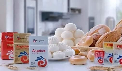 酵母蛋白科学技术国际研讨会在宜举行