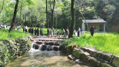 “村K”大赛精彩开唱 龙腾沟基地开园迎客