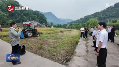 为“巴掌田”减损 长阳试验油菜机收新装备