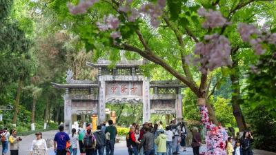 从“看景”到“入戏”：襄阳用“旧景焕新”回应时代命题 