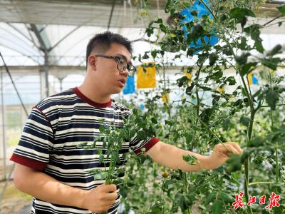 华农这群大学生把作业卖爆了，有人专门从江汉路赶来抢购