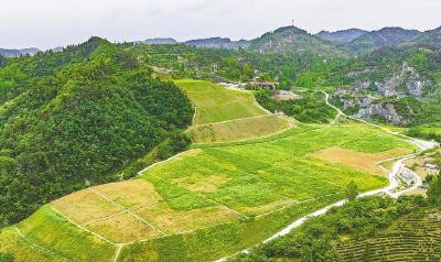8年接力！湖北扫除水源地“悬顶之患”