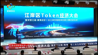 下好Token经济“先手棋” AI产业“热带雨林”这样造