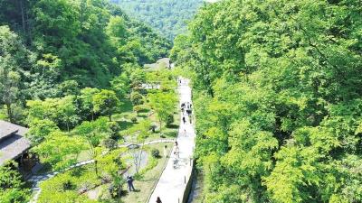 山村“蝶变”富民风景——宜都两大新晋休闲打卡地爆火的密码  