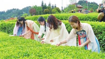 穿瀑洞漂、茶园微度假、康养避暑…… 兴山“五一”文旅市场多点开花 放大缩小默认 