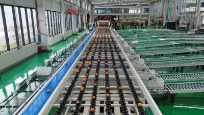 打造全国特色农业优势区 宜昌市级以上“农重企”突破600家