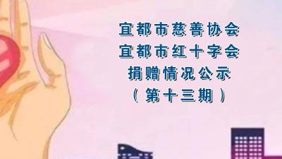 宜都市慈善协会、宜都市红十字会关于接受捐赠情况的公示（第十三期）