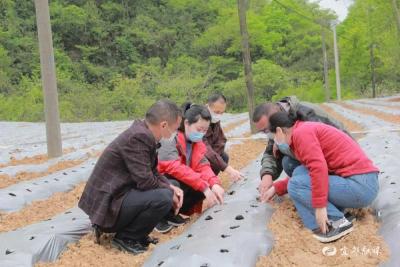 梁山村：因地制宜兴产业