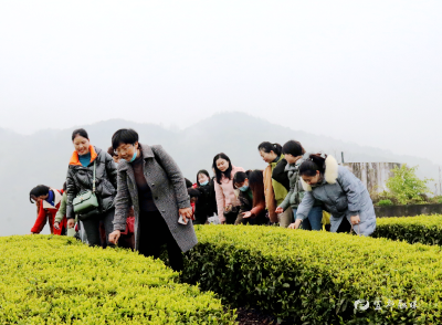 庆“三八”妇女节 我市各地活动精彩纷呈