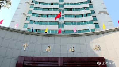 【优化营商环境 助推高质量发展】“首违不罚”彰显税务执法温度