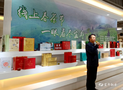 我市线上春茶节开幕 让茶叶走进“互联网+”