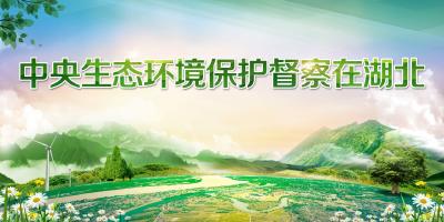 以“红旗、蜗牛”项目评审为抓手 强化执法大练兵重点项目推进全过程管理