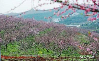 美丽乡村“养成记”