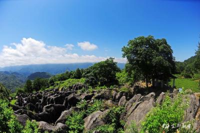 【三峡日报】石缝里长出全域生态公园