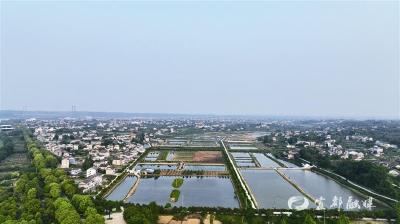 【荆楚网】点亮红色引擎 推动乡村振兴 ——宜都市着力推进党建引领乡村振兴观察