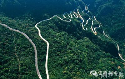 【湖北日报】“连心山路”蜿蜒通四方