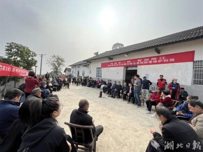 【湖北日报】屋场会热议古茶树群保护
