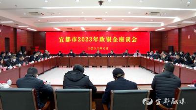 我市召开2023年政银企座谈会