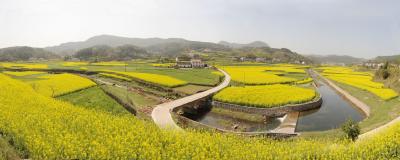 打造“云山茶谷水墨稻香”山水田园小镇，今年这个山区乡镇将加速蝶变！