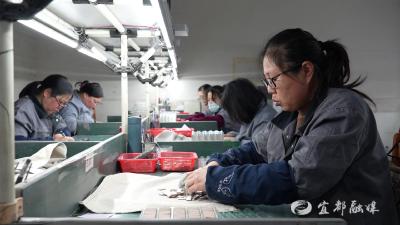 跑好第一棒 奋战开门红 | 博通电子：开足马力忙生产 产销两旺开门红