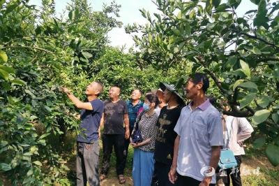 能人带头产业兴 ！宜都这位农民登上《人民日报》——