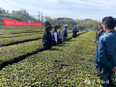 “土秀才”田间授课  专治培训“水土不服”的问题