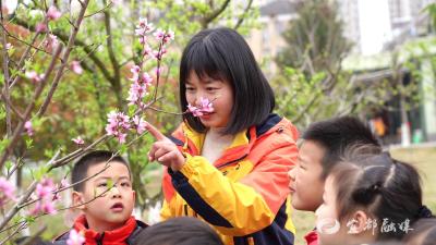 共“树”春晖！绿色校园美化育人环境