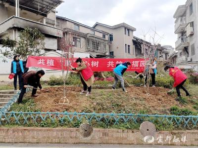 头笔社区：共植“廉”心树