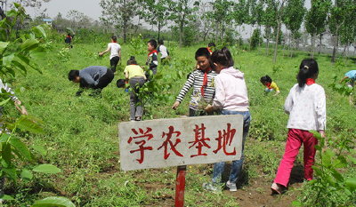 学农童趣