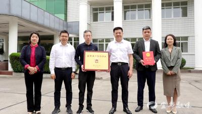 宜昌市总工会送荣誉到基层