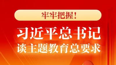 牢牢把握！习近平总书记谈主题教育总要求