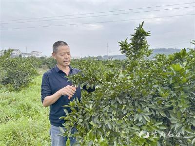 【三峡日报】爱岗敬业守初心 恪尽职守勇拼搏