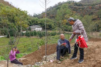 百姓生活中的一束最美的“光”——记王家畈镇老屋棚村网格员向安珍