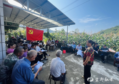 湾落会上“拉家常”汇民意