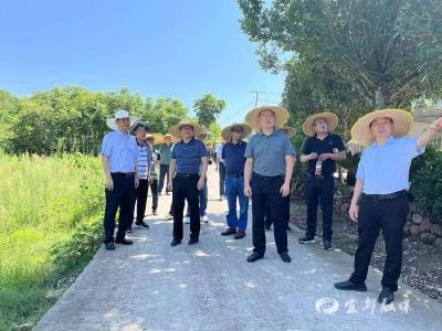 【湖北日报】加强重大林业有害生物防治，织密联防联控森林防火“安全网”