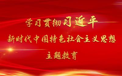 军队学习贯彻习近平新时代中国特色社会主义思想主题教育第一批总结暨第二批部署会议在北京召开